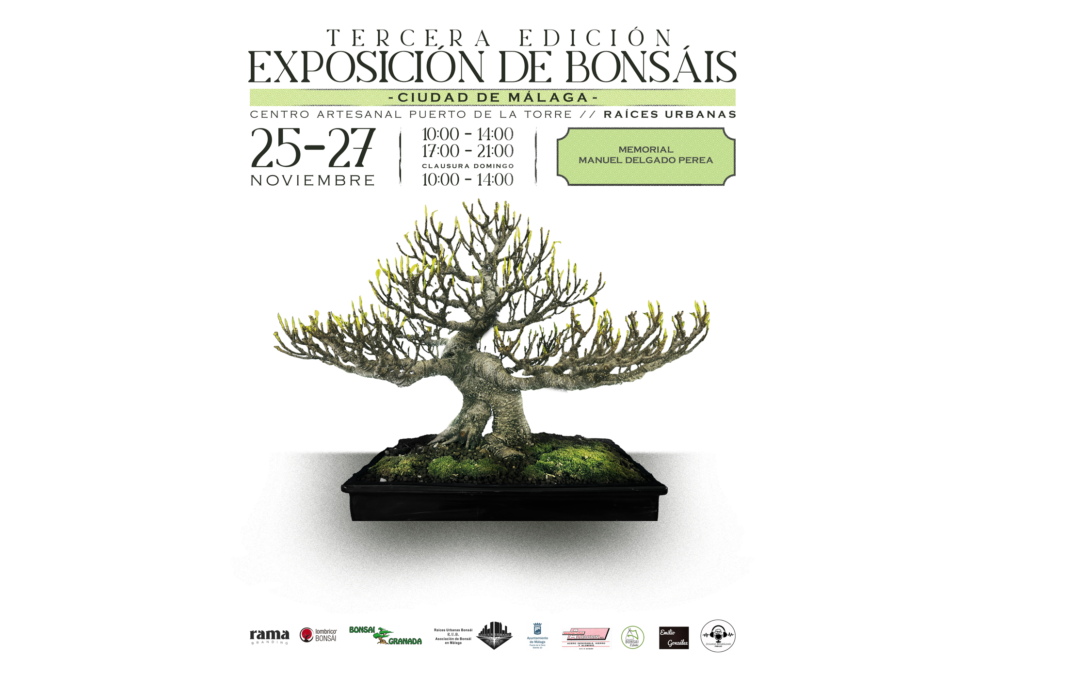 III Exposición de Bonsáis «Ciudad de Málaga»